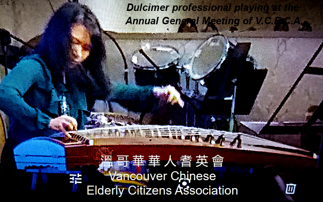 Dulcimer player - professional level of expertise